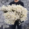 Dekorativa blommor naturligt torkad tusensköna torr bukett för vas boho heminredning blommor arrangemang rustik kontor bröllop fest dekoration