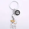 Keychains Lanyards Jack Russell Hound Keychain Mens Alloy Metal Dog Pendant Keyring Car Pack Charm Gift Q240403