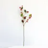 Decorative Flowers Simulated Long Branch Acacia Fruit Small Berry Plastic Artificial Flower Home Decoration And Of Houses