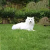 Filmy Pluszowa zabawka Realistyczna urocza husky samoyed pluszowy pies futro życie zwierzęta wielkanocne symulacja symulacja królicza zabawka Model urodzinowy 240407