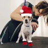 Hundkläder husdjur juldräkt xmas levererar fest små dekor tillbehör hatt strumpor kattdräkter mini huvudbonad prop husdjur
