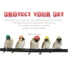 OUTROS PET SUPLETAS CAPENE DE CABEÇA DE SEGURANÇA DE FLINCO PARA HENS Peck Protection Parrot Er Bird Bird Hatwear Acelações pequenas de animais de animais accesso dhyxp