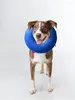 Dog Collars Inflatable Cat E-collar Adjustable Neck Cone Recovery Healing Protective Pet Supplies Anti Lick Wound