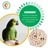 Other Bird Supplies 6 Pcs Parrot Foraging Toy Toys Guinea Pig Chewing Wooden Treats Chinchilla Ball