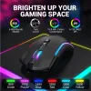 مفصلات Eksa Wired Gaming Mouse USB RGB 8000DPI المستشعر البصري Mouse Gamer 7 Buttons الفئر