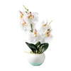 Simulazione decorativa simulazione Phalaenopsis colorato fiore artificiale farfalla orchidea seta finta pianta in vaso pianta in vaso decorazione camera da letto per la camera da letto per