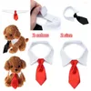 Abbigliamento per cani Pet Cat Cat Neutie Formal Tuxedo Wow Tie Red Red Regolable Collar per accessori Regalo per feste di nozze