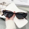 Nuovo telaio per occhiali gatti occhiali da sole da sole da sole da donna Trendy Fashion Street Photography for Export V36T