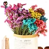 Decorative Flowers 120g Natural Dried Forget Me Not Bouquets Wedding Decoration Artificial Flower Myosotis Home Decor Christmas Supplies