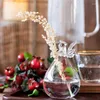 Vazen moderne kleine vers transparante kleine engel hydrocultuur vaas -tafel decoratie ornamenten