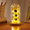 Decorative Flowers Dried Sunflower Office Decor Light Glass Dome Indoor Decoration Gift Coffee Shop Lamp