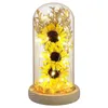 Decorative Flowers Dried Sunflower Office Decor Light Glass Dome Indoor Decoration Gift Coffee Shop Lamp