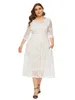 Plus -Size -Kontrast Spitze Halbschlärm Semi Sheer Midi Prom Party Hochzeit Abendkleid für Frauen240402