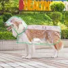 犬のアパレルフルカバードッグレインコート明るい防水ジャケットを歩くためのgxma