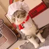 Dog Apparel Pet Headwear 1 Set Stylish Funny Polyester Chef Style Hat Party Supply