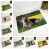 Carpets Mat de sol de chien berger allemand pour le couloir pour enfants chambre décor non glissant pour animaux de compagnie paillasson flanelle 40x60cm