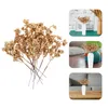 Fleurs décoratives 12 PCS Desk Decor décorations d'arbre de Noël Couronne de baies Nommes Nommes Plastic Picks Tide Baies artificielles