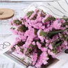 Decorative Flowers 120g Natural Dried Forget Me Not Bouquets Wedding Decoration Artificial Flower Myosotis Home Decor Christmas Supplies