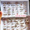 100 Boxed Korean Version Titanium Steel for Women's Washable and Non Fading Rings