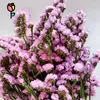 Decorative Flowers 120g Natural Dried Forget Me Not Bouquets Wedding Decoration Artificial Flower Myosotis Home Decor Christmas Supplies