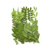 Fiori decorativi foglie secche naturali piante verdi resina epossidica cristallina fai -da -te per artigianato di gioielli mate f3v1