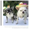 Abbigliamento per cani 2 PC Abbigliamento messicano Sombrero Hawaii Outfit Fiesta Party Forniture Paglie Pet Cappello