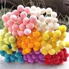 Decoratieve bloemen droge bloem arrangementen Billy Ball Craspedia Globosa Benth Eternal Life for Home Wedding Party Themed Decorations