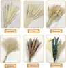 Fleurs décoratives réelles petites pampas séchées groupées plantes naturelles décor de la maison phragmites fleur mariage 76pcs