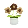 Decorative Flowers Woven Potted Plant High-quality Preserved Handmade Crocheted Small Flower Realistic Yarn For Stylish