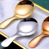 Spoon 5 pezzi mini cucchiai di zucchero in acciaio inossidabile cucchiai di zucchero corto dessert gelato scolaretto cucchiaio da cucina da cucina per bambini