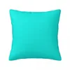 Oreiller couleur unie à la turquoise vive - une fusion de bleu vert pour ceux qui aiment les couleurs d'été jettent des oreillers ornementaux