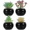 Decorative Flowers 4 Pcs Simulated Bonsai Artificial Plants Decor Faux Decorate Mini Fake Potted Pvc Succulents Small