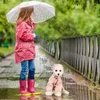 Abbigliamento per cani Cappogruno impermeabili Waterproof Pet Rain ingranaggio per ingranaggi con tasca con cerniera per cani da piccolo a medio