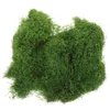 Fiori decorativi simulato Simulazione di decorazioni in erba di muschio artificiale per fioriera fa falso fai -da -te artigianato falso cotone bonsai interno