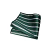 Neckband Jemygins Men Green Bands randig slips Paisley Silk Wedding Tie för män Slipsan Hanky ​​Cufflink Set Party Business Fashion Designer 240407