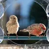 Montagem de janela do alimentador de aves acrílicas transparente com forte bandeja de sementes de sementes de copo para o alimentador de pássaros ao ar livre para Finch Cardinal Bluebird 240407
