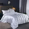 2/3PCS dekbedoverdeksel Silky Soft Coverter Cover Tekst Quilt Cover met ritssluiting geen dekbed 240325