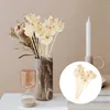 Flores decorativas 10 PCs Rattan Orchid Difusor Artificial Reeds Reeds substituível de varas de casamento