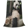 Battaniyeler Fubao Panda Fu Bao Hayvan Battaniyesi Sıcak Rahat Sherpa Yatak Seyahat Kampı için Atma