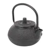 Teaware Sets 50ml Japanese Style Cast Iron Kettle Teapot Comes Strainer Tea Pot