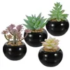 Decorative Flowers 4 Pcs Mini Ornaments Simulated Bonsai Fake Potted Succulents Small Artificial Plants Miniature Landscape Decor