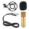 Microphones Professional Metal BM700 Microphone du condenseur avec commande de circuit et tête de diaphragme de grande en or pour le studio / KTV
