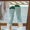 5 Pairs Women Socks Comfortable Sweat Literary Arts Tea Products Japanese Womens Striped Pile Cotton Tube 240408