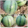 Decorazione per feste simulata Watermelon Fruit Pography Props Desktop Decor decorazioni artificiali Simulazione Modelli di layout decorativo per bambini Scena