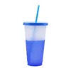 タンブラーカラーカップカップ再利用可能なタンブラーとストロー氷水bpaパーティー5色