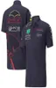 F1 Racing Tshirt 2022 Summer Nouveau Polo Suit Soms personnalisation de style 5882238