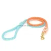 Correo de la obediencia del entrenamiento de perros Correo Roinbow Rope Caminata Camship Cats Cat Pet For Small Medium Big Dogs Drop entrega Home Garden Dh1Mb