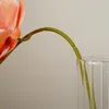 Flores decorativas 5 Cabeça Phalaenopsis Flowring único Flor Artificial Flow