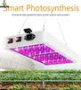 LED Grow Light 1000W 2000W Phytolamp 2835 LED Chip Phyto Growth Lamp 85265V屋内植物のフルスペクトル植物照明7513599