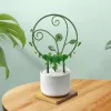 Suporta trellis para escalar plantas internas de 5pcs redondo a ferramenta de jardinagem de estacas de apostas em estacas para rosas Morning Glory